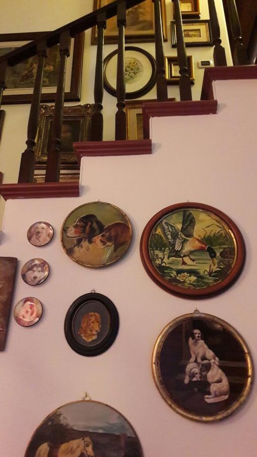 B&B Silvana Travedona 외부 사진